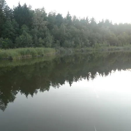Pokoje W Lesie 1